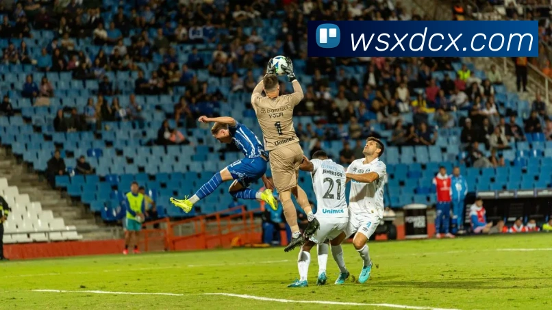 线上买球平台生态图